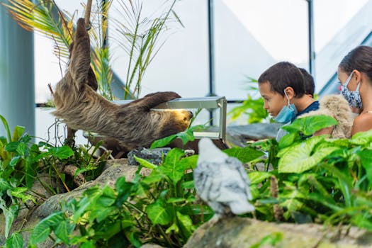Bezpečné Svíčky pro Děti a Zvířata: Jaké Vybrat?
